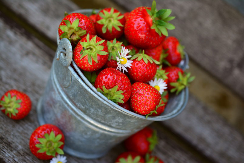 Hannahs Gartentipps im Juni – Erdbeeren